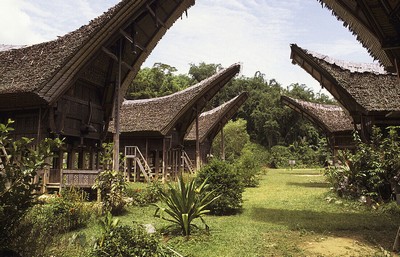 sulawesi_indonesia